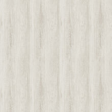 GE02440 Veyrier Silver Birch Wallpaper by Sketch Twenty 3