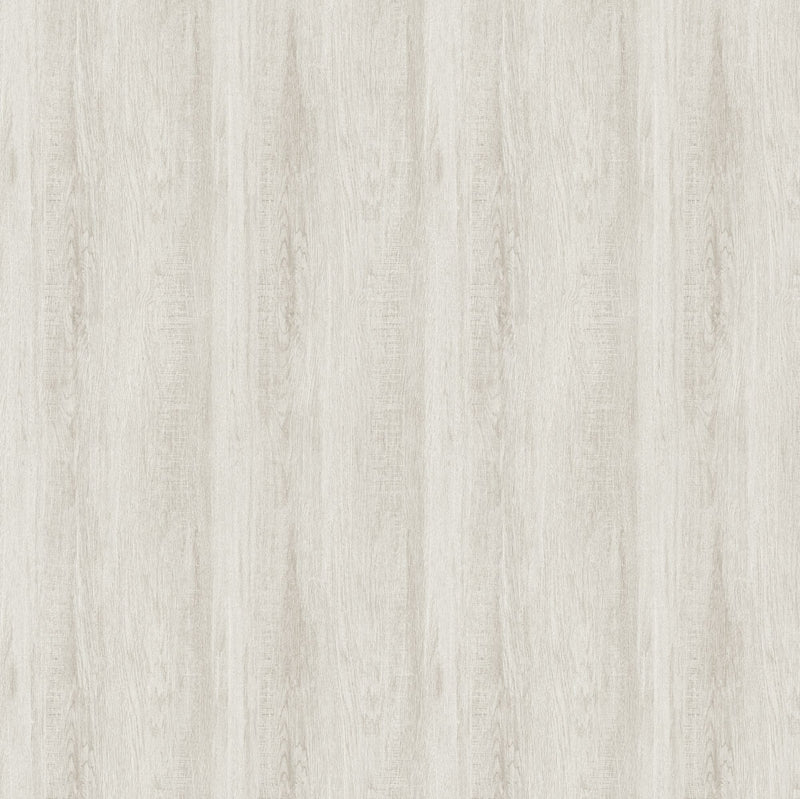GE02440 Veyrier Silver Birch Wallpaper by Sketch Twenty 3