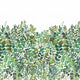 Luxurius Nature Large Panel Green Life 2 Wallpaper by Caselio