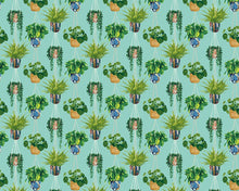 GRA50108W Houseplant Cerulean Twist Wallpaper by Ohpopsi