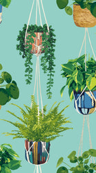 GRA50108W Houseplant Cerulean Twist Wallpaper by Ohpopsi