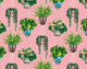 Houseplant Bubblegum Grafik Wallpaper by Ohpopsi