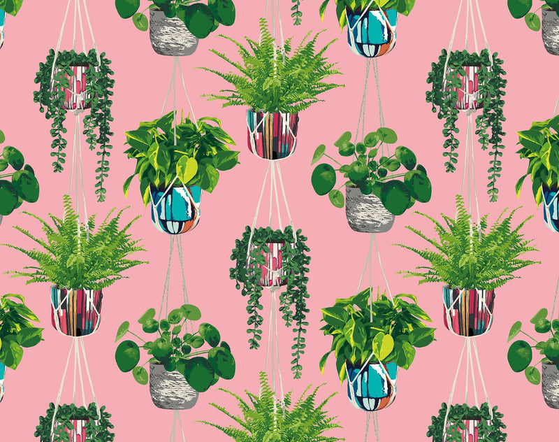 GRA50109W Houseplant Bubblegum Wallpaper by Ohpopsi