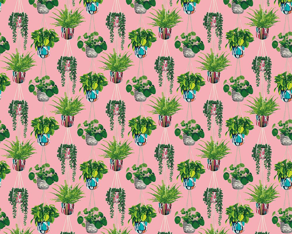 GRA50109W Houseplant Bubblegum Wallpaper by Ohpopsi