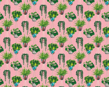 GRA50109W Houseplant Bubblegum Wallpaper by Ohpopsi