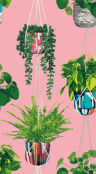 GRA50109W Houseplant Bubblegum Wallpaper by Ohpopsi