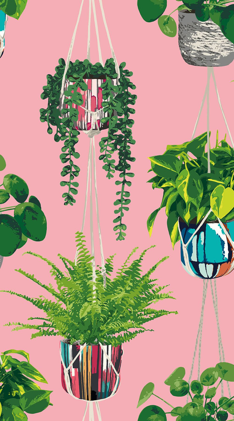 GRA50109W Houseplant Bubblegum Wallpaper by Ohpopsi