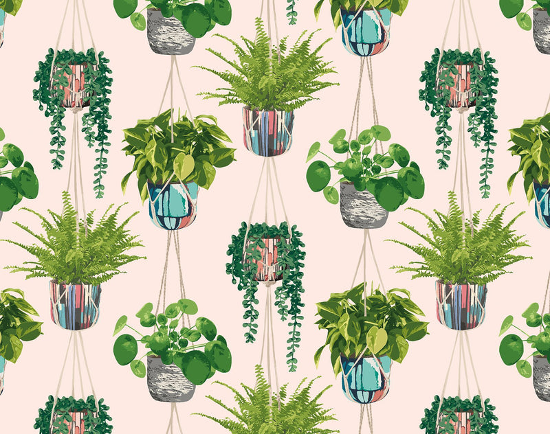 GRA50110W Houseplant Ballet Slipper Wallpaper by Ohpopsi