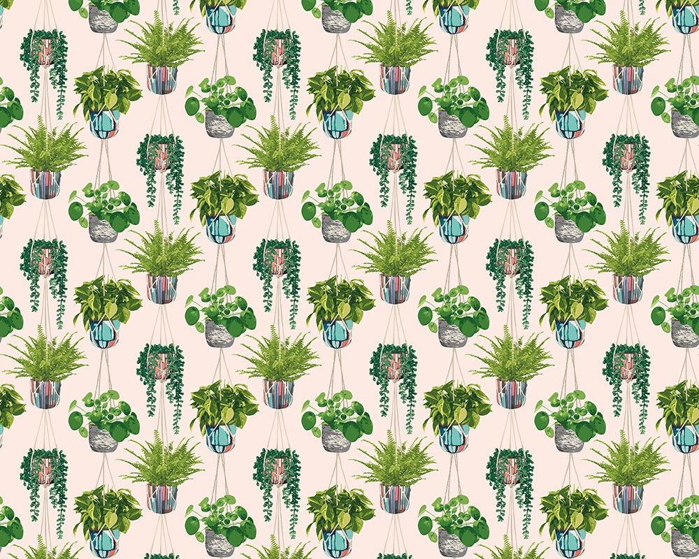 GRA50110W Houseplant Ballet Slipper Wallpaper by Ohpopsi