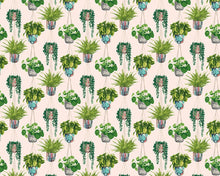 GRA50110W Houseplant Ballet Slipper Wallpaper by Ohpopsi