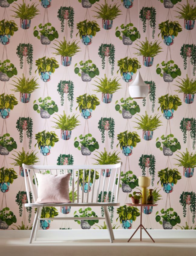 GRA50110W Houseplant Ballet Slipper Wallpaper by Ohpopsi