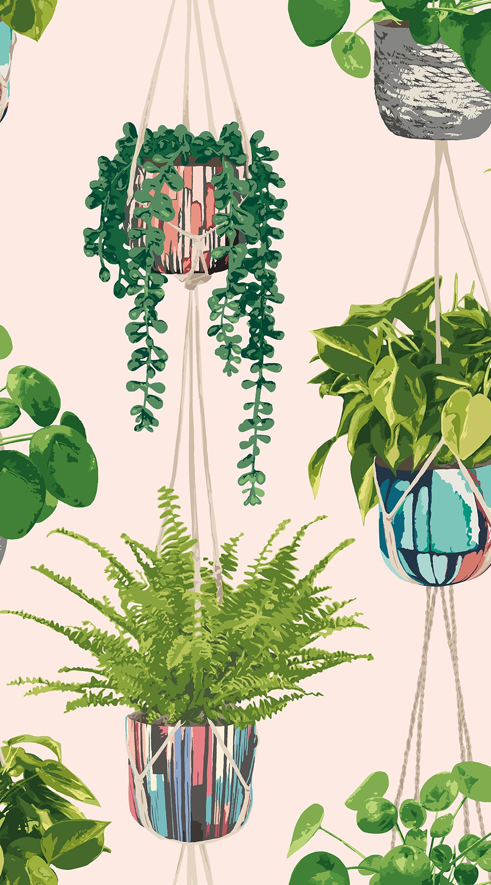 GRA50110W Houseplant Ballet Slipper Wallpaper by Ohpopsi
