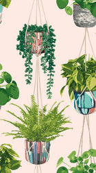GRA50110W Houseplant Ballet Slipper Wallpaper by Ohpopsi