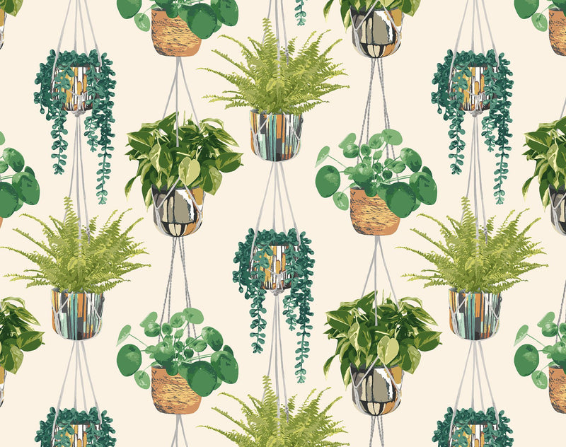 GRA50111W Houseplant Sage & Cider Wallpaper by Ohpopsi