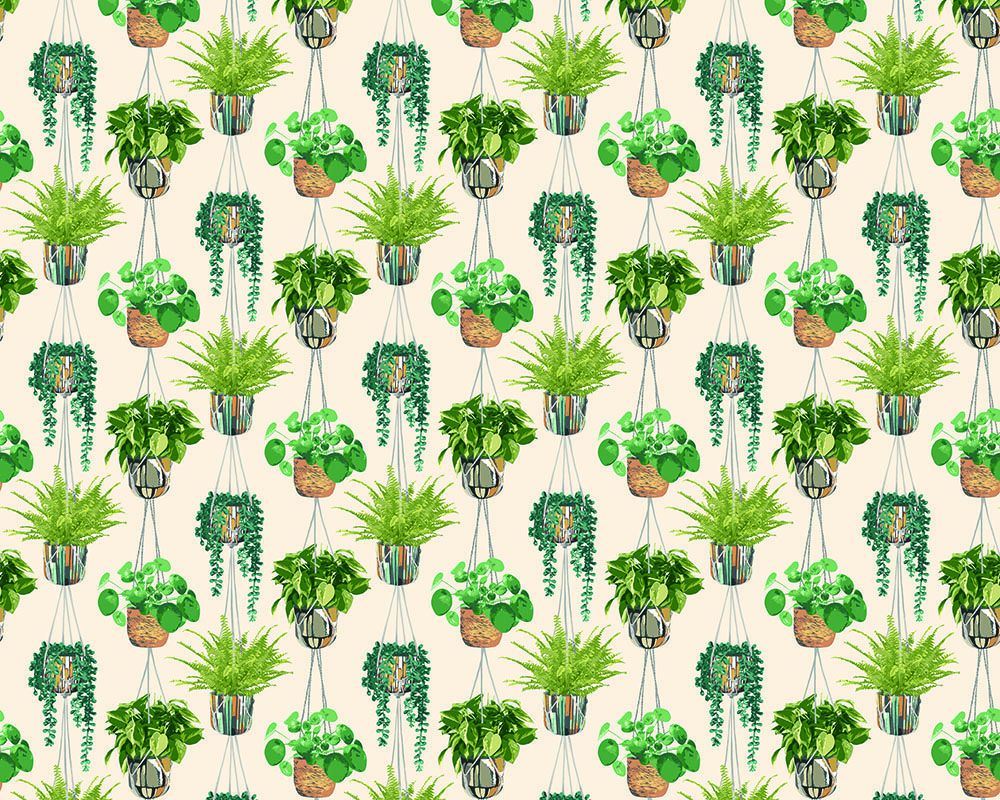 GRA50111W Houseplant Sage & Cider Wallpaper by Ohpopsi