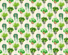 GRA50111W Houseplant Sage & Cider Wallpaper by Ohpopsi