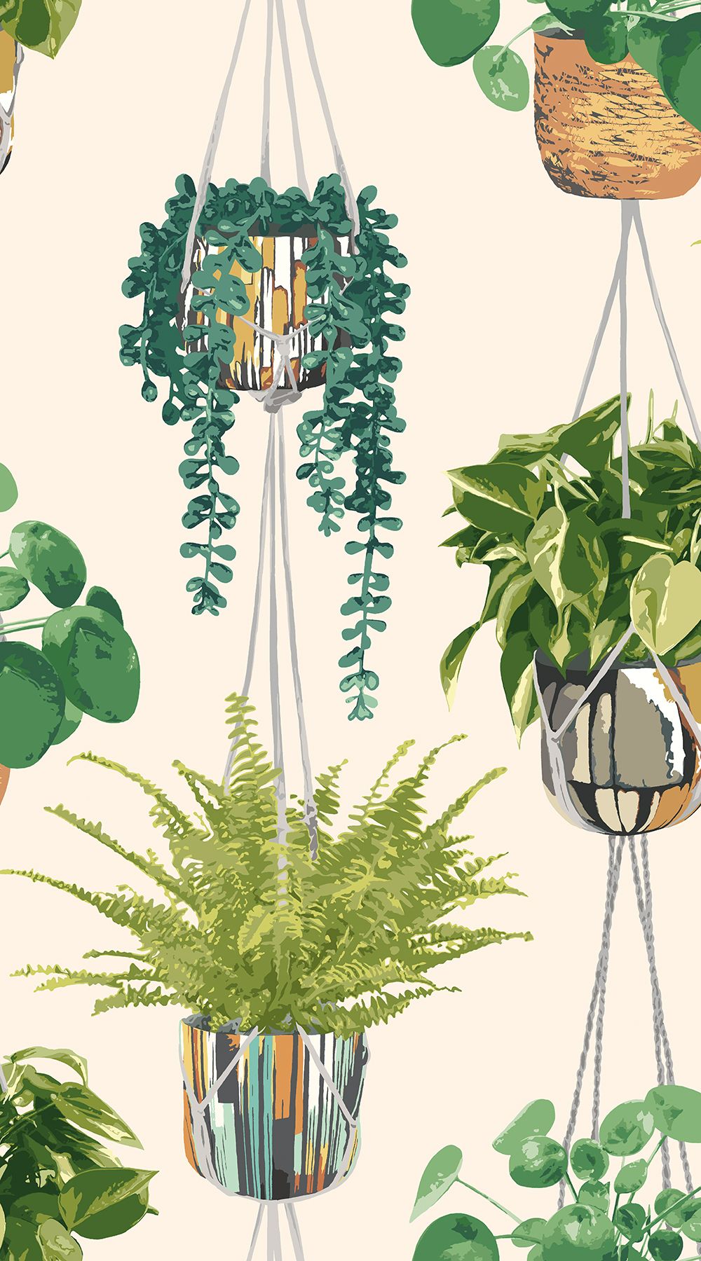GRA50111W Houseplant Sage & Cider Wallpaper by Ohpopsi
