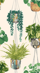 GRA50111W Houseplant Sage & Cider Wallpaper by Ohpopsi