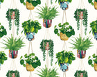 GRA50112W Houseplant Parakeet Wallpaper by Ohpopsi
