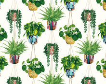 GRA50112W Houseplant Parakeet Wallpaper by Ohpopsi