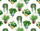 Houseplant Parakeet Grafik Wallpaper by Ohpopsi