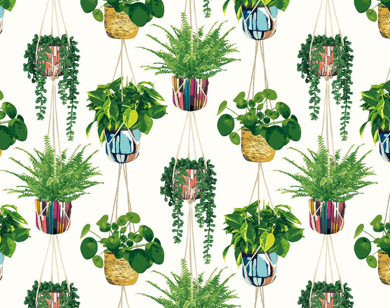 GRA50112W Houseplant Parakeet Wallpaper by Ohpopsi