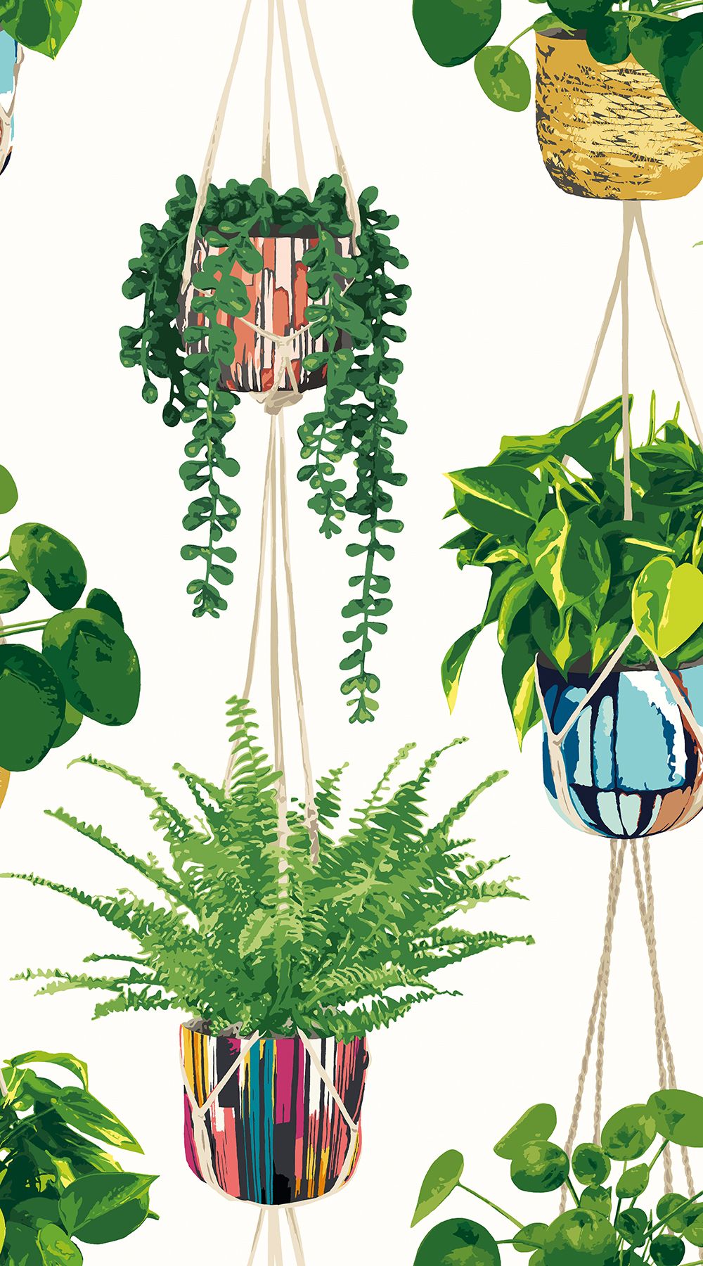 GRA50112W Houseplant Parakeet Wallpaper by Ohpopsi