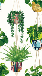 GRA50112W Houseplant Parakeet Wallpaper by Ohpopsi