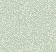 GT4573 Nadie Green Classics Wallpaper by York Wallcoverings