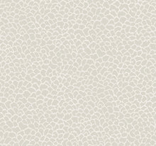 GT4574 Nadie Grey Classics Wallpaper by York Wallcoverings
