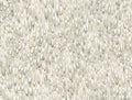 Aslan Neutral Classics Wallpaper by York Wallcoverings