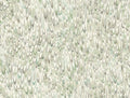 Aslan Green Classics Wallpaper by York Wallcoverings