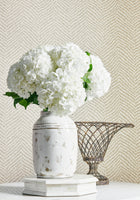 Big Sur Grasscloth Resource 4 Wallpaper By Thibaut | T72860