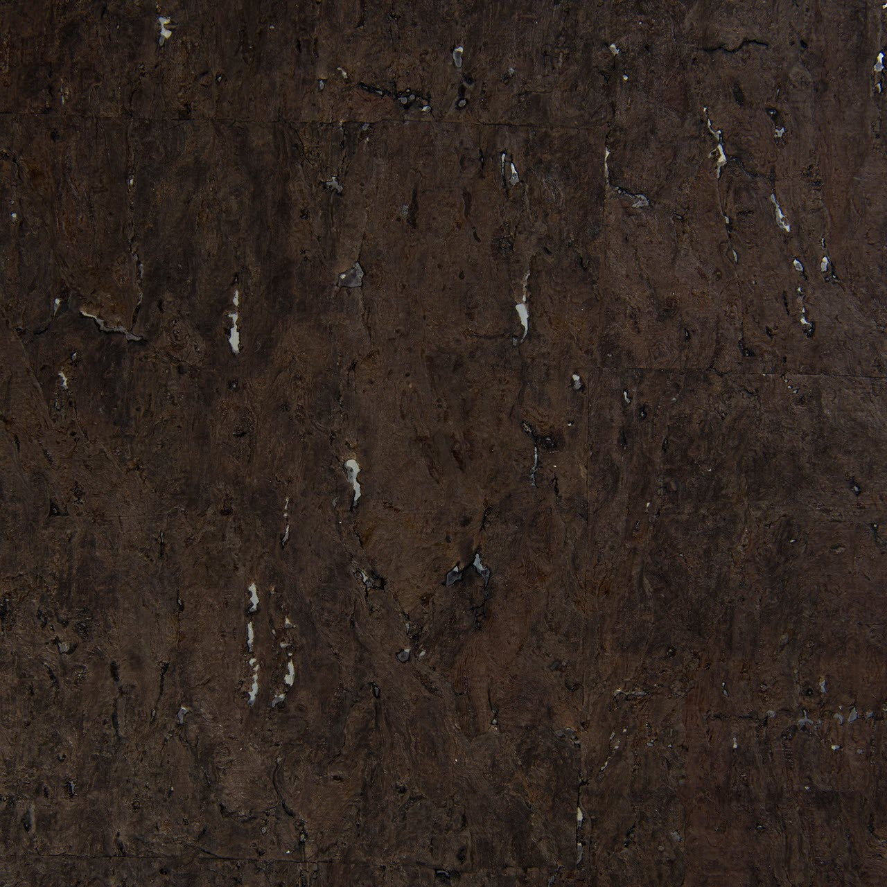 HAL0706 One Halo Wallpaper by Today Interiors