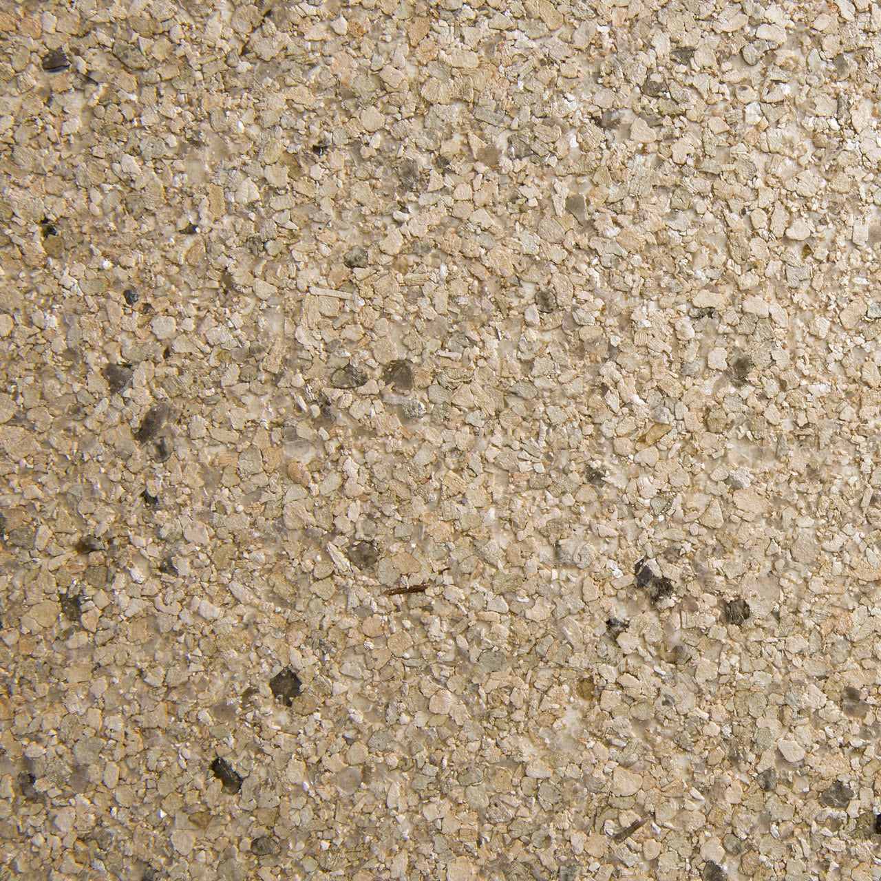 HAL0711 Two Halo Wallpaper by Today Interiors