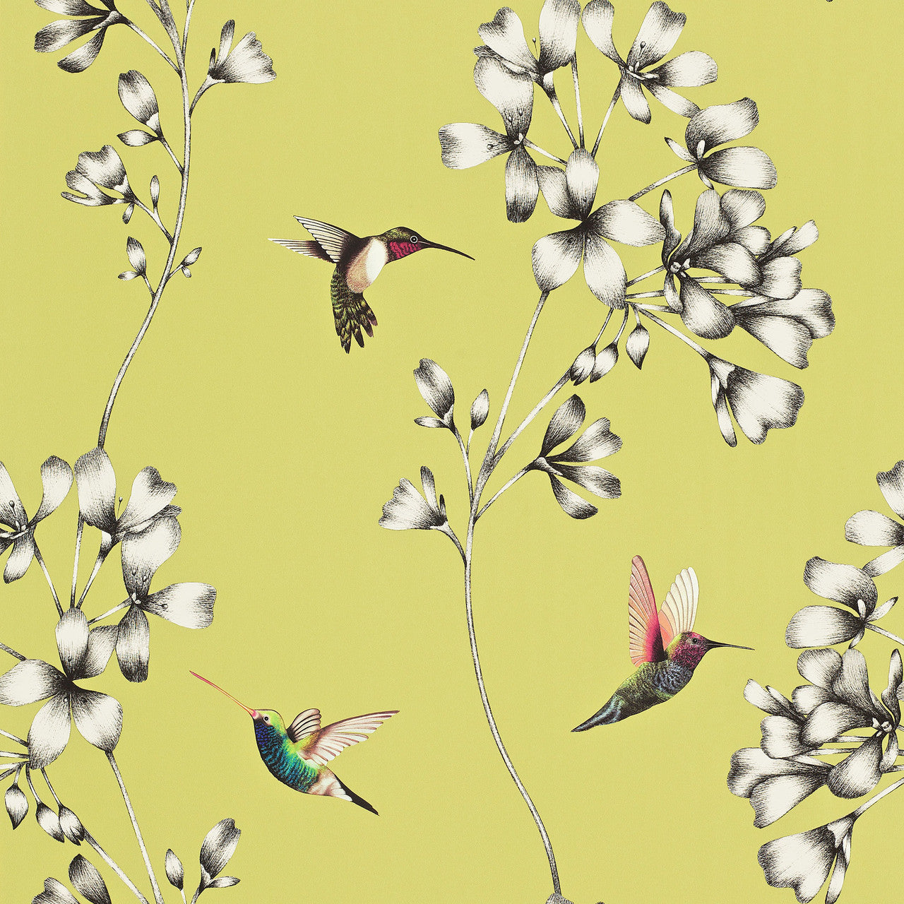 111061 Amazilia Idyllic Gooseberry Wallpaper by Harlequin