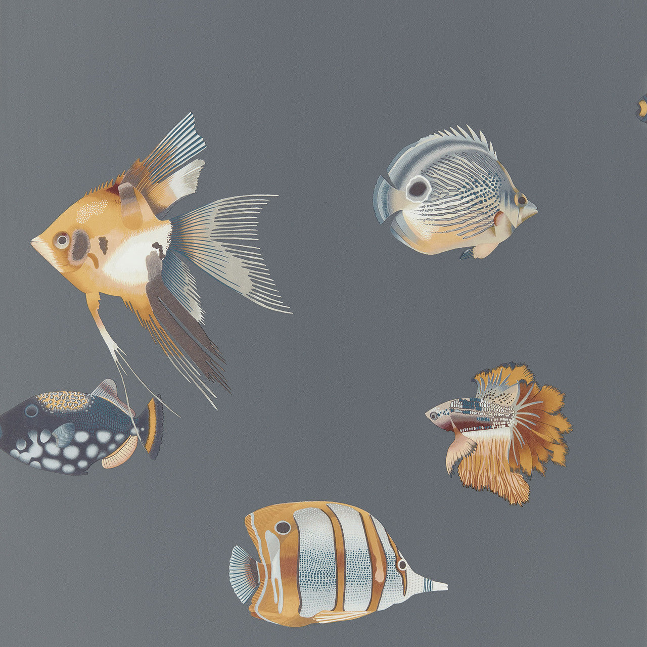 111648 Kamanu Idyllic Amber/Slate Wallpaper by Harlequin