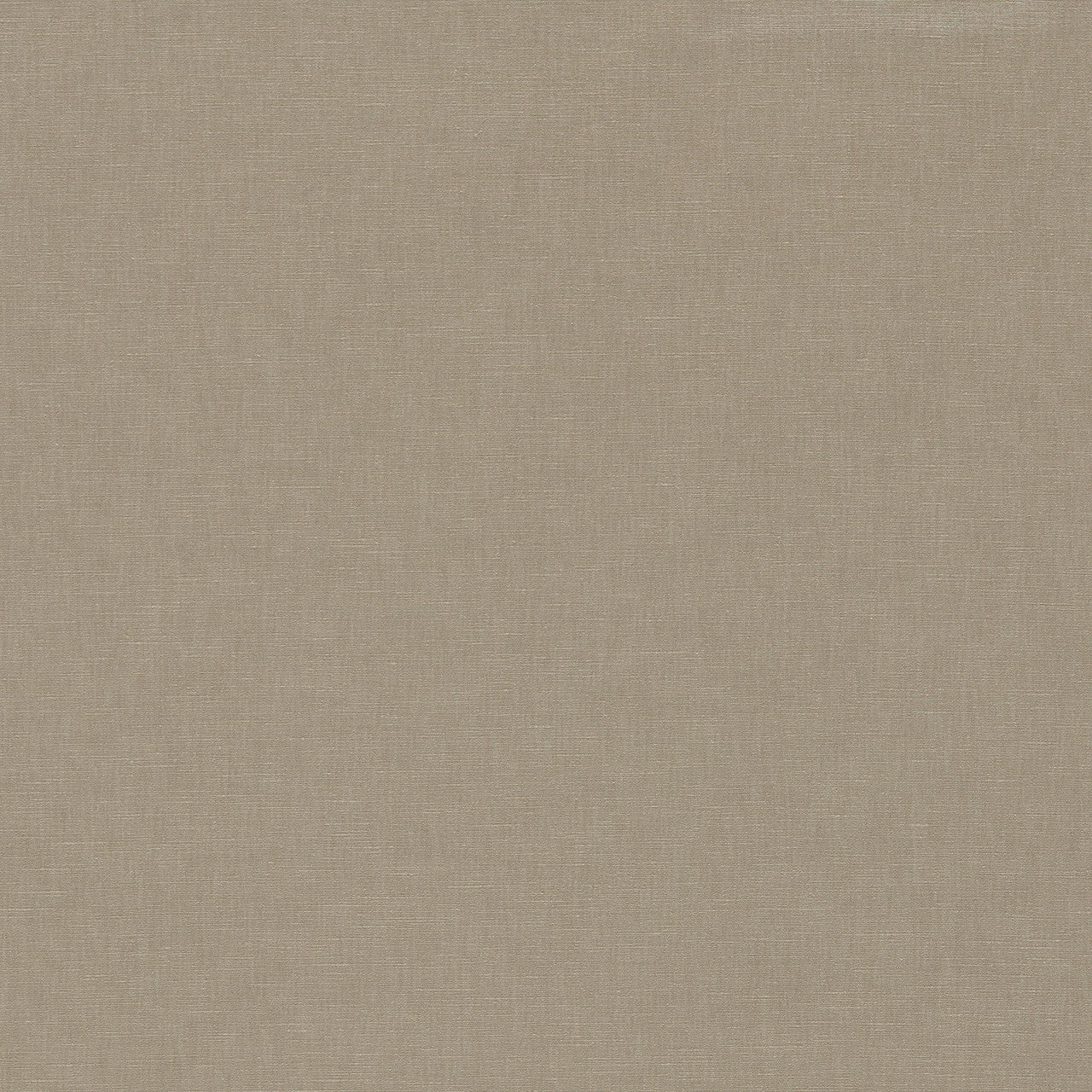 134434 Ario Birch Fabric by Harlequin