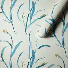 HAW0347-02 Saona Atlantic / Julip Signature Wallpaper by Harlequin