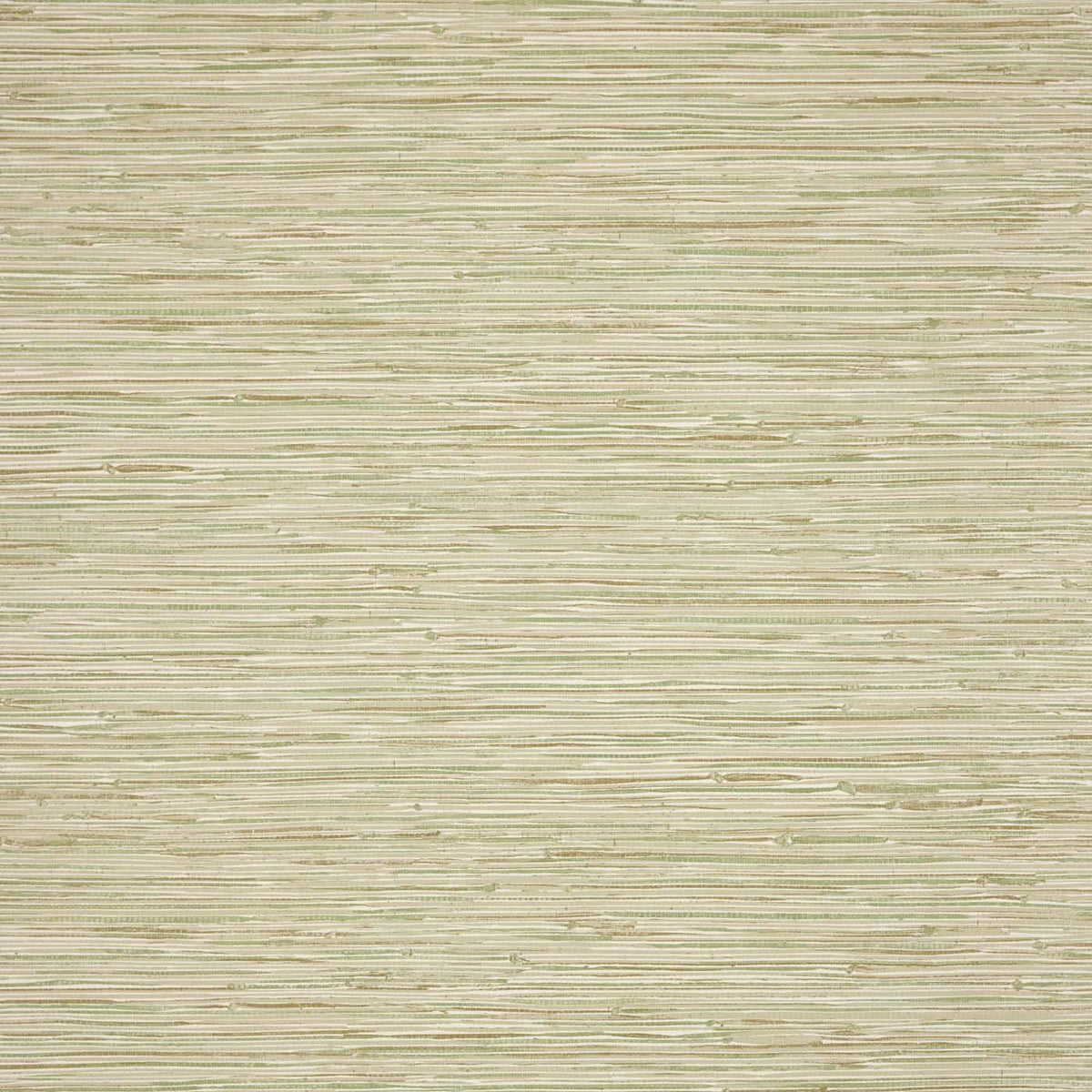 HAW0348-06 Seri II Aloe / Parchment Signature Wallpaper by Harlequin