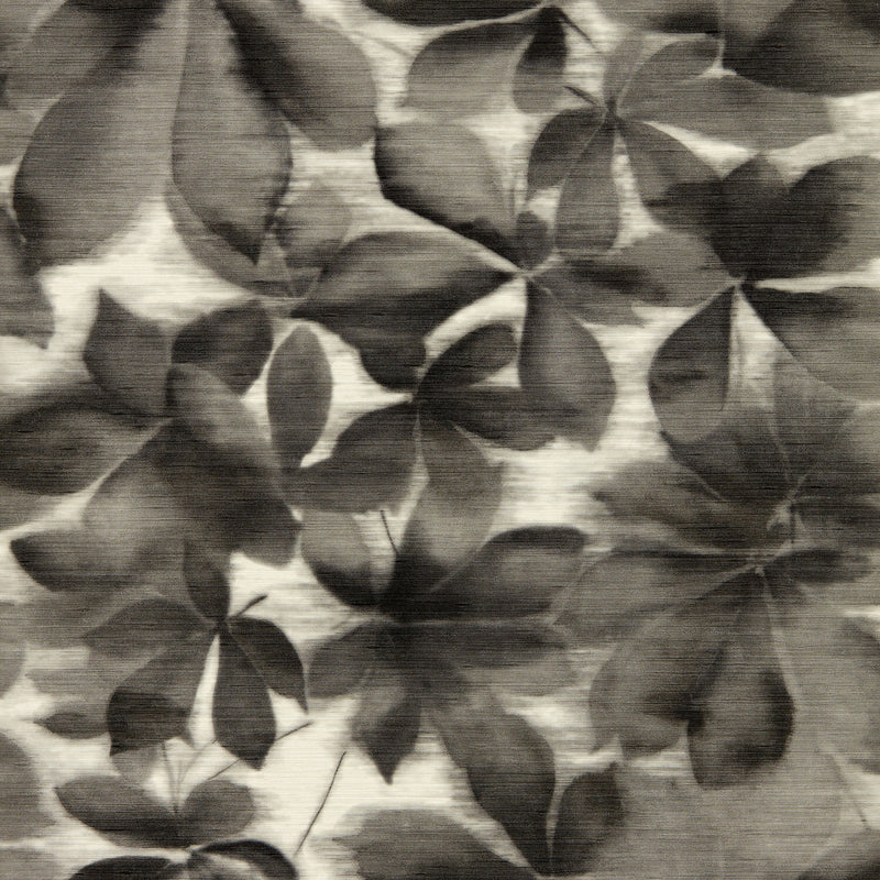 113005 Grounded Colour 4 Black Earth and Parchment Wallpaper by Harlequin