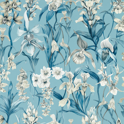 Kalina Colour 4 Celestial, Murmuration and Awakening Wallpaper by Harlequin