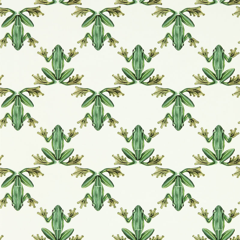113011 Wood Frog Colour 4 Forest and Chalk Wallpaper by Harlequin