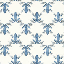 113012 Wood Frog Colour 4 Wild Water and Chalk Wallpaper by Harlequin