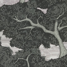 113040 Eternal Oak Colour 4 Ebony and First Light Wallpaper by Harlequin