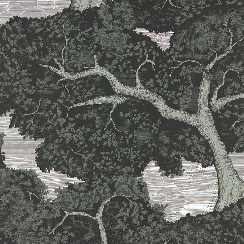 113040 Eternal Oak Colour 4 Ebony and First Light Wallpaper by Harlequin