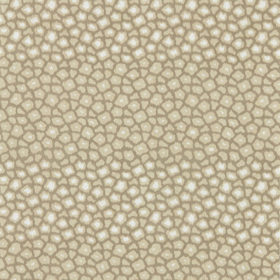 Loam Defined Momentum Sandstone Wallpaper by Harlequin