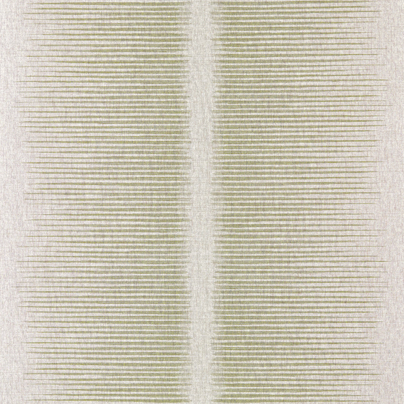 113313 Chaco Defined Momentum Olivine Wallpaper by Harlequin
