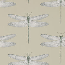 111241 Demoiselle Colour Wallpaper by Harlequin