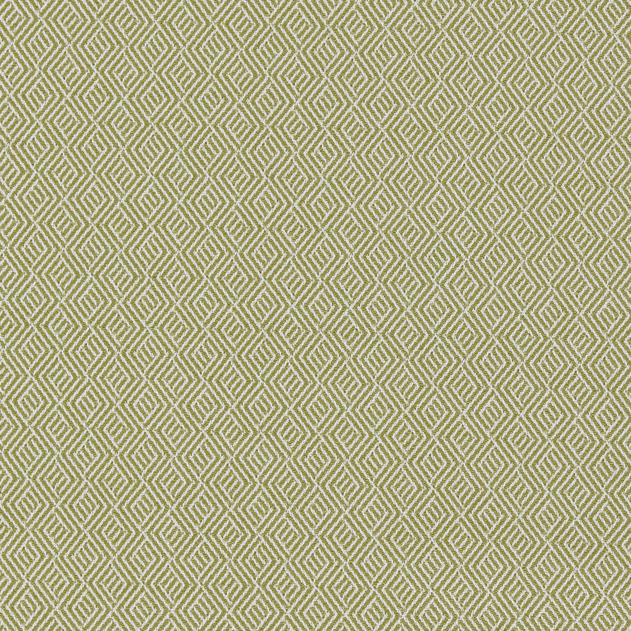 134539 Nalani Indoor Outdoor Weaves II Grass and Chalk Fabric by Harlequin